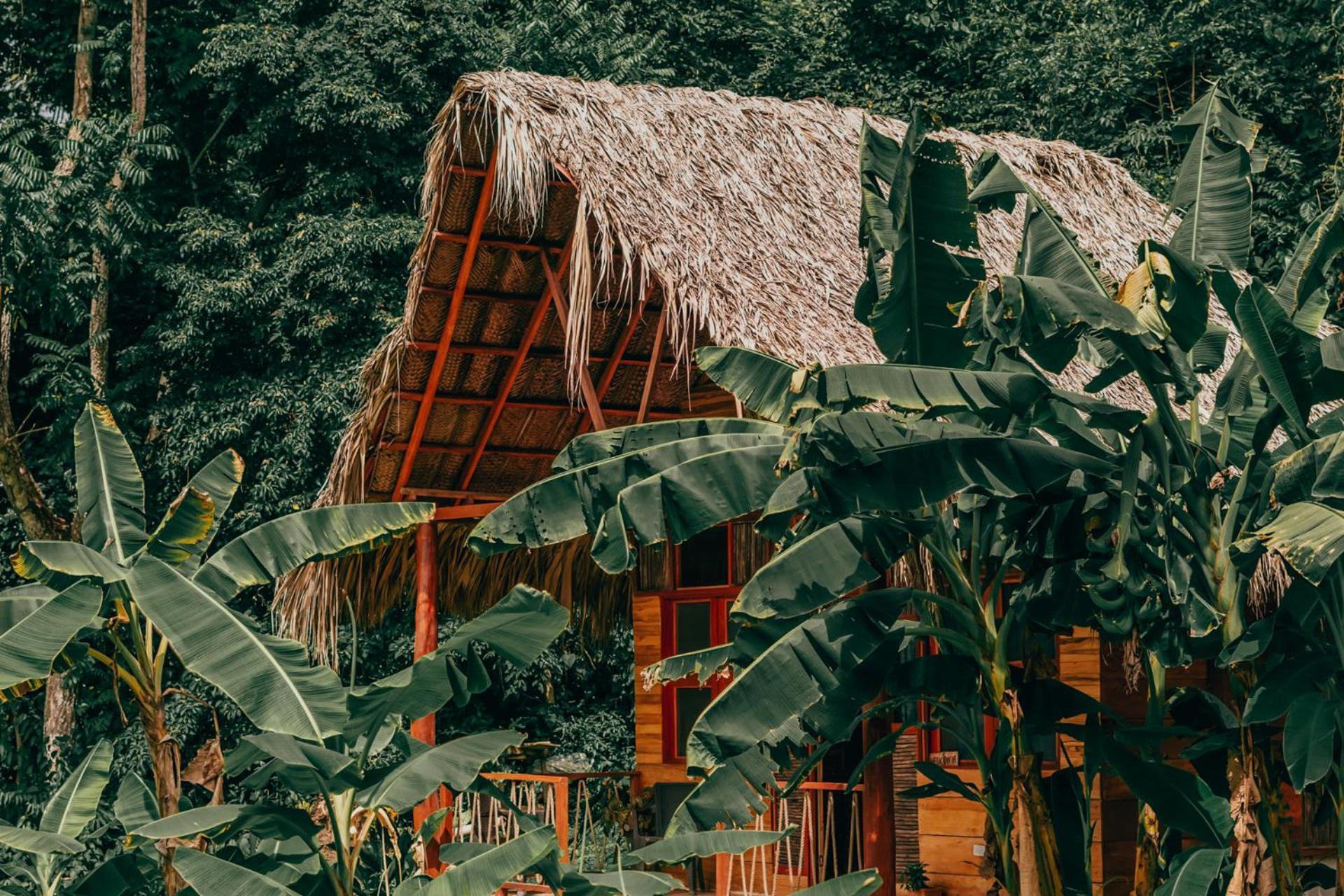 Magic Green Dentro Del Parque Tayrona Эль-Саино Экстерьер фото