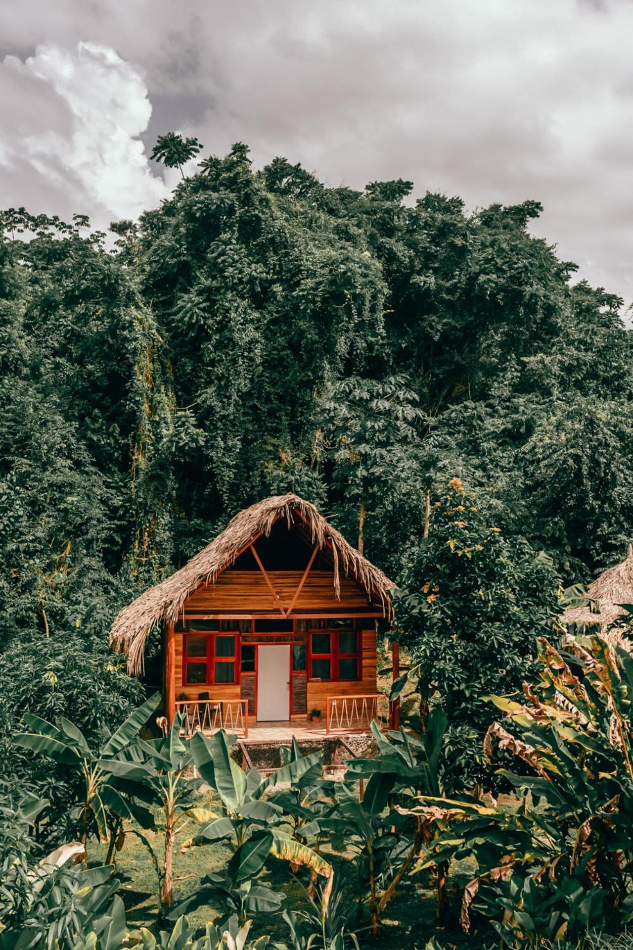 Magic Green Dentro Del Parque Tayrona Эль-Саино Экстерьер фото