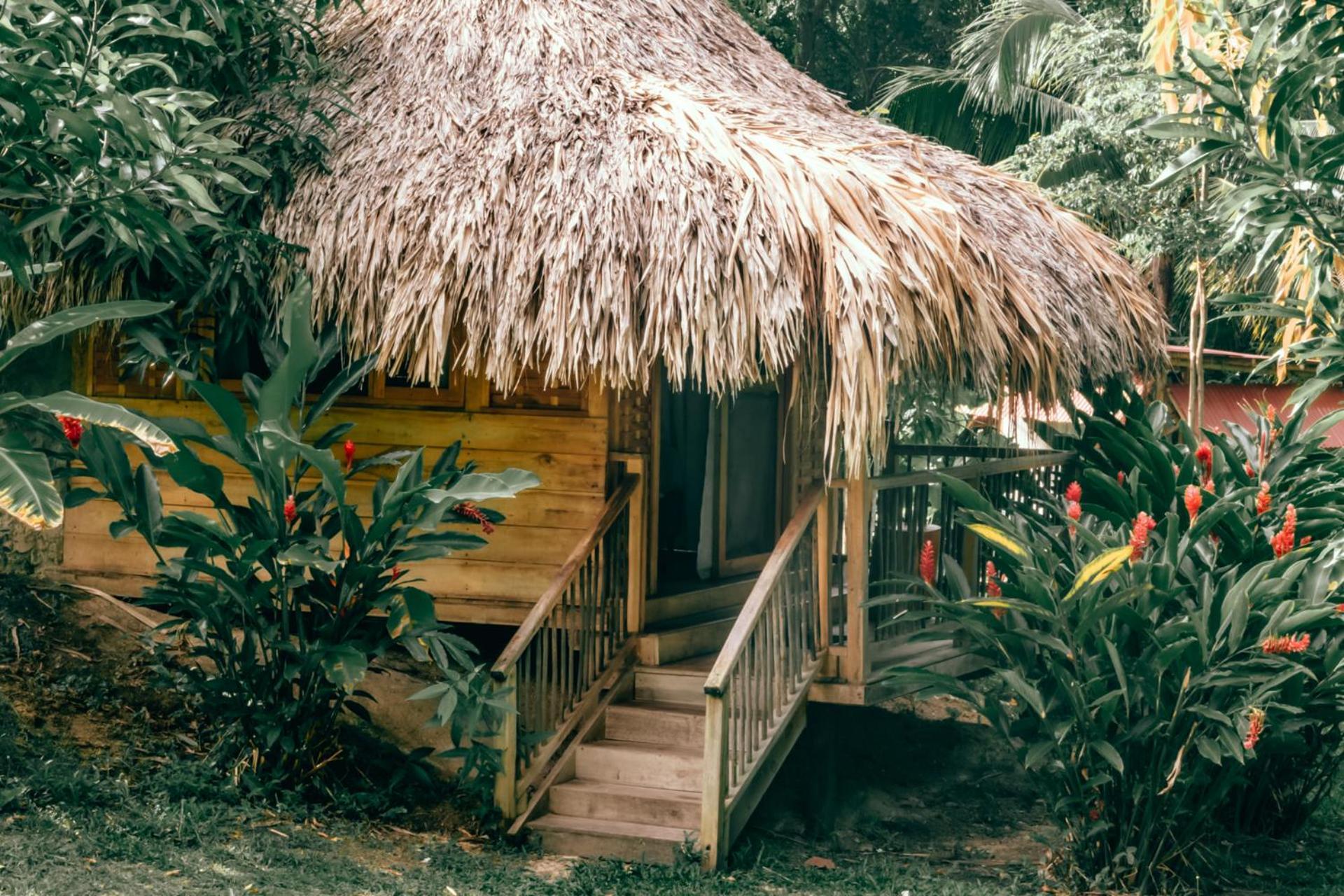 Magic Green Dentro Del Parque Tayrona Эль-Саино Экстерьер фото