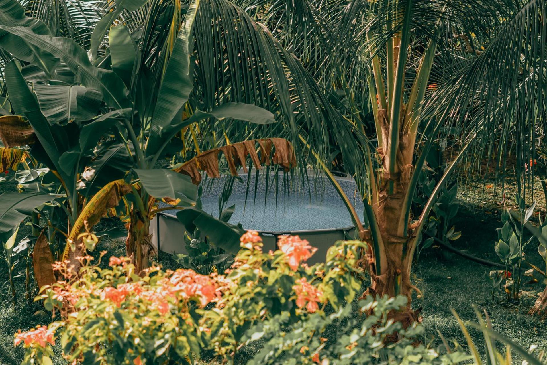 Magic Green Dentro Del Parque Tayrona Эль-Саино Экстерьер фото